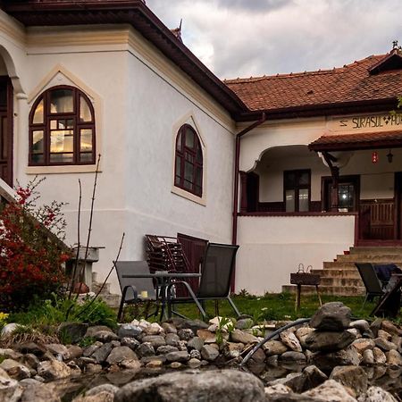 Dragoslavele Surasul Muntelui 아파트 외부 사진