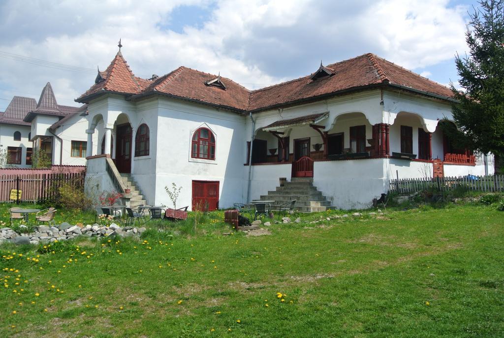 Dragoslavele Surasul Muntelui 아파트 외부 사진